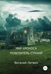 Виталий Литвин - Мир Хроноса. Повелитель Стихий
