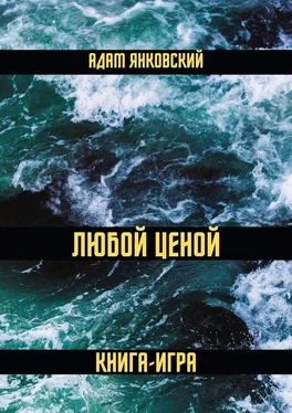 Адам Янковский Любой ценой. Книга-игра обложка книги