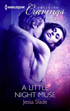 Jessa Slade A Little Night Muse обложка книги