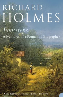 Richard Holmes Footsteps обложка книги