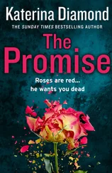 Katerina Diamond - The Promise