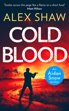 Alex Shaw Cold Blood обложка книги