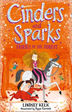 Lindsey Kelk Cinders and Sparks: Fairies in the Forest обложка книги