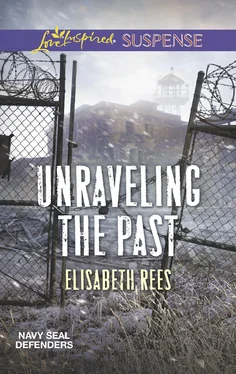 Elisabeth Rees Unraveling The Past обложка книги