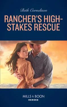 Beth Cornelison Rancher's High-Stakes Rescue обложка книги