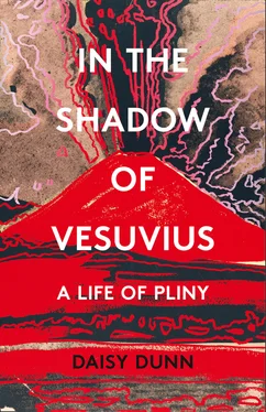 Daisy Dunn In the Shadow of Vesuvius обложка книги