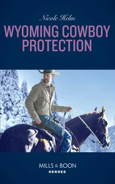 Nicole Helm Wyoming Cowboy Protection обложка книги