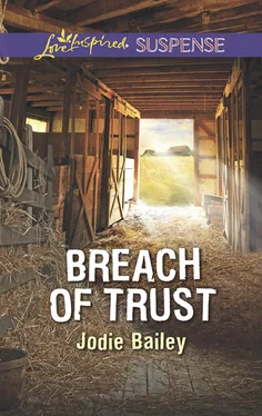 Jodie Bailey Breach Of Trust обложка книги