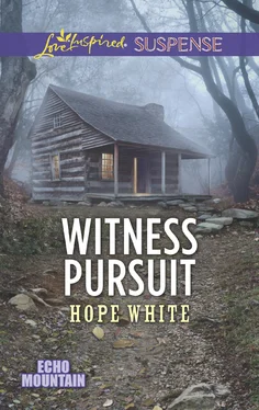 Hope White Witness Pursuit обложка книги