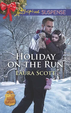 Laura Scott Holiday On The Run обложка книги