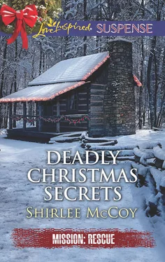 Shirlee McCoy Deadly Christmas Secrets обложка книги
