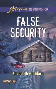 Elizabeth Goddard False Security обложка книги