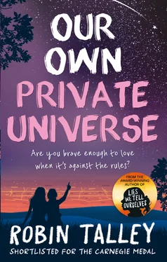 Robin Talley Our Own Private Universe обложка книги
