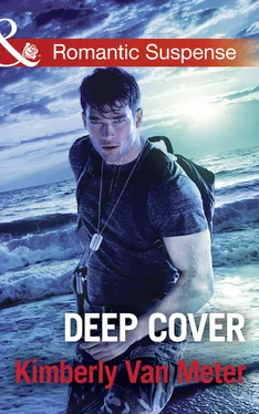 Kimberly Van Meter Deep Cover обложка книги