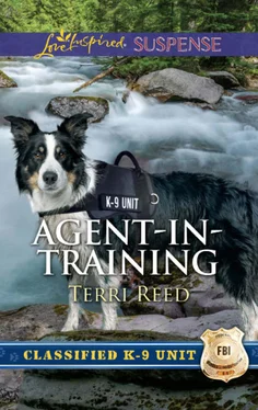 Terri Reed Agent-In-Training обложка книги