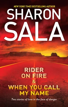 Sharon Sala Rider on Fire & When You Call My Name обложка книги