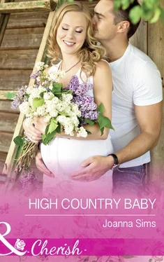 Joanna Sims High Country Baby обложка книги