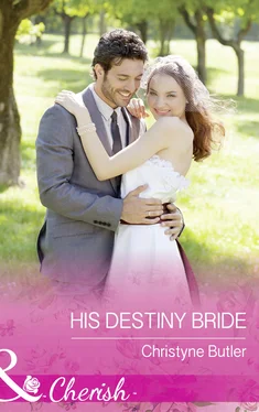 Christyne Butler His Destiny Bride обложка книги