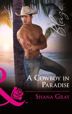 Shana Gray A Cowboy In Paradise обложка книги
