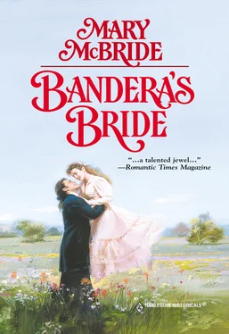 Mary Mcbride Bandera's Bride обложка книги