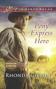 Rhonda Gibson Pony Express Hero обложка книги