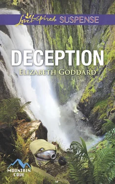 Elizabeth Goddard Deception обложка книги