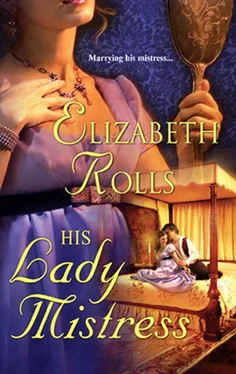 Elizabeth Rolls His Lady Mistress обложка книги