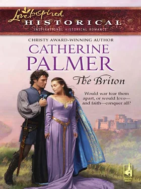 Catherine Palmer The Briton обложка книги