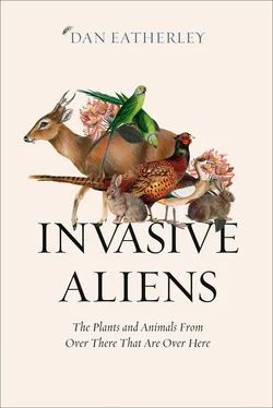 Dan Eatherley Invasive Aliens обложка книги