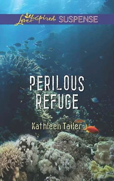 Kathleen Tailer Perilous Refuge обложка книги