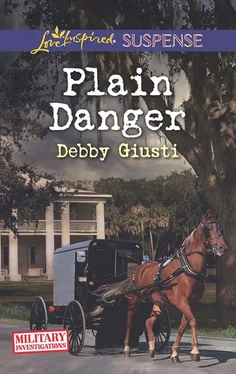 Debby Giusti Plain Danger обложка книги