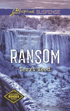 Terri Reed Ransom обложка книги