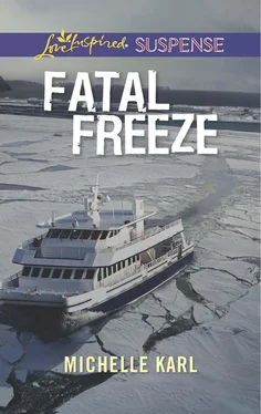 Michelle Karl Fatal Freeze обложка книги