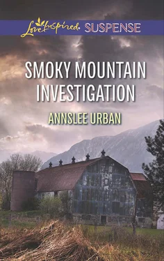 Annslee Urban Smoky Mountain Investigation обложка книги