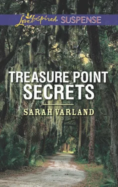 Sarah Varland Treasure Point Secrets обложка книги