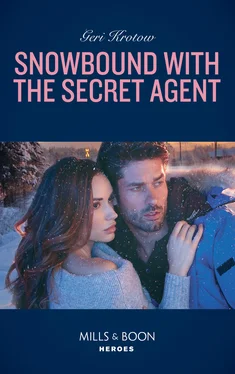 Geri Krotow Snowbound With The Secret Agent обложка книги