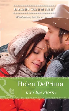 Helen DePrima Into The Storm обложка книги