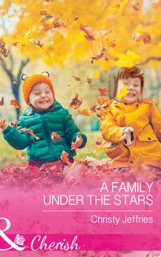 Christy Jeffries A Family Under The Stars обложка книги