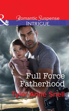 Tyler Anne Snell Full Force Fatherhood обложка книги