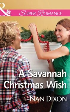 Nan Dixon A Savannah Christmas Wish обложка книги