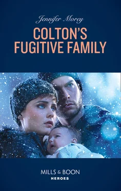 Jennifer Morey Colton's Fugitive Family обложка книги
