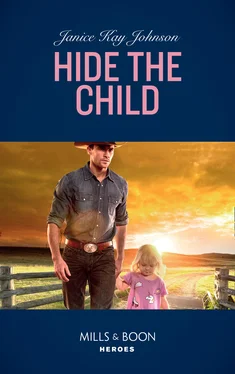 Janice Kay Hide The Child обложка книги