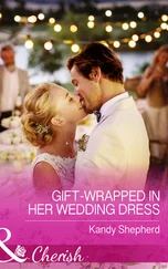 Kandy Shepherd - Gift-Wrapped In Her Wedding Dress