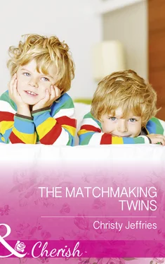 Christy Jeffries The Matchmaking Twins обложка книги
