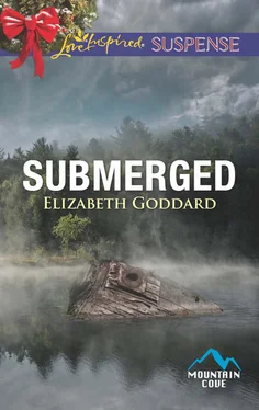 Elizabeth Goddard Submerged обложка книги