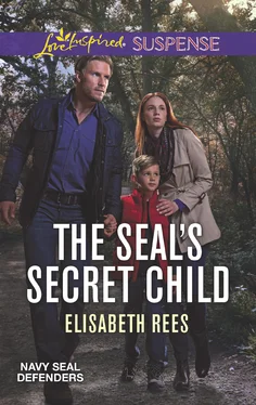 Elisabeth Rees The Seal's Secret Child обложка книги