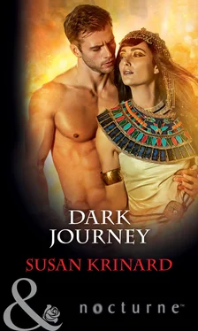 Susan Krinard Dark Journey обложка книги