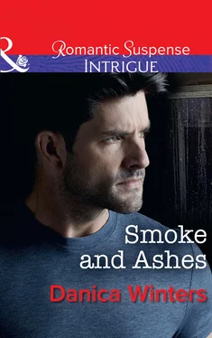 Danica Winters Smoke And Ashes обложка книги