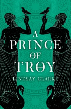 Lindsay Clarke A Prince of Troy обложка книги