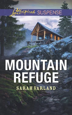 Sarah Varland Mountain Refuge обложка книги